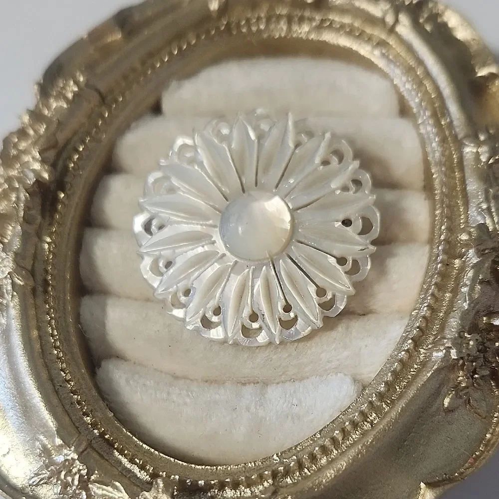 Vintage Carved Flower Mother of Pearl Shell Brooch Pin Round MOP